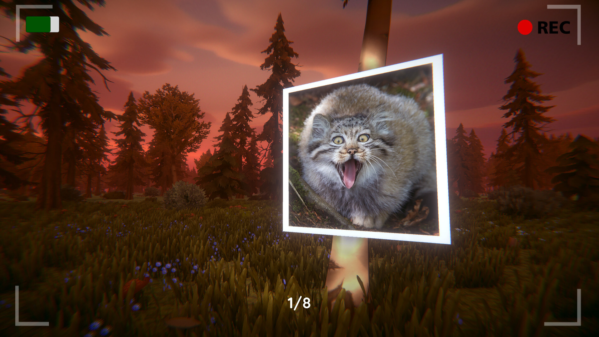 Floppa: The Dark Forest