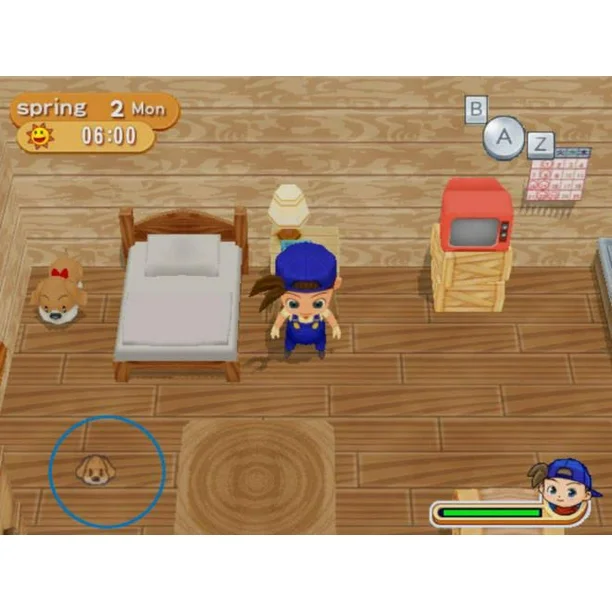 Harvest Moon: Magical Melody