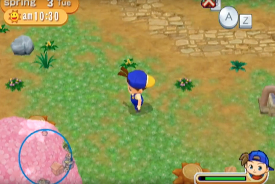 Harvest Moon: Magical Melody