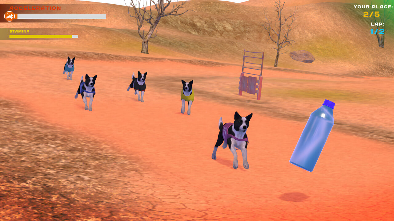 Dog Racing: Lovely Pet Friends Paw