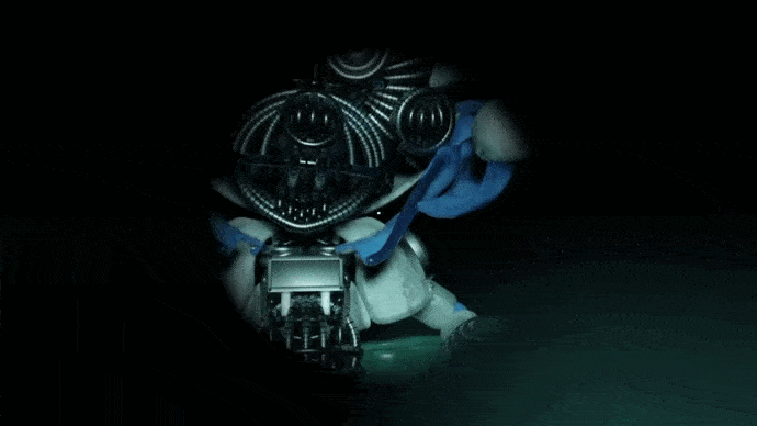 Five Nights at Treasure Island: Sister Location