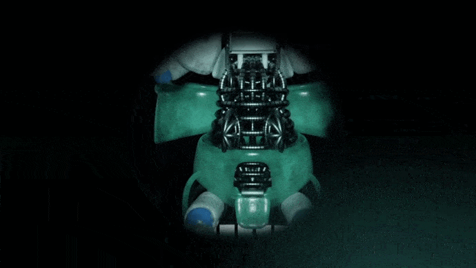 Five Nights at Treasure Island: Sister Location