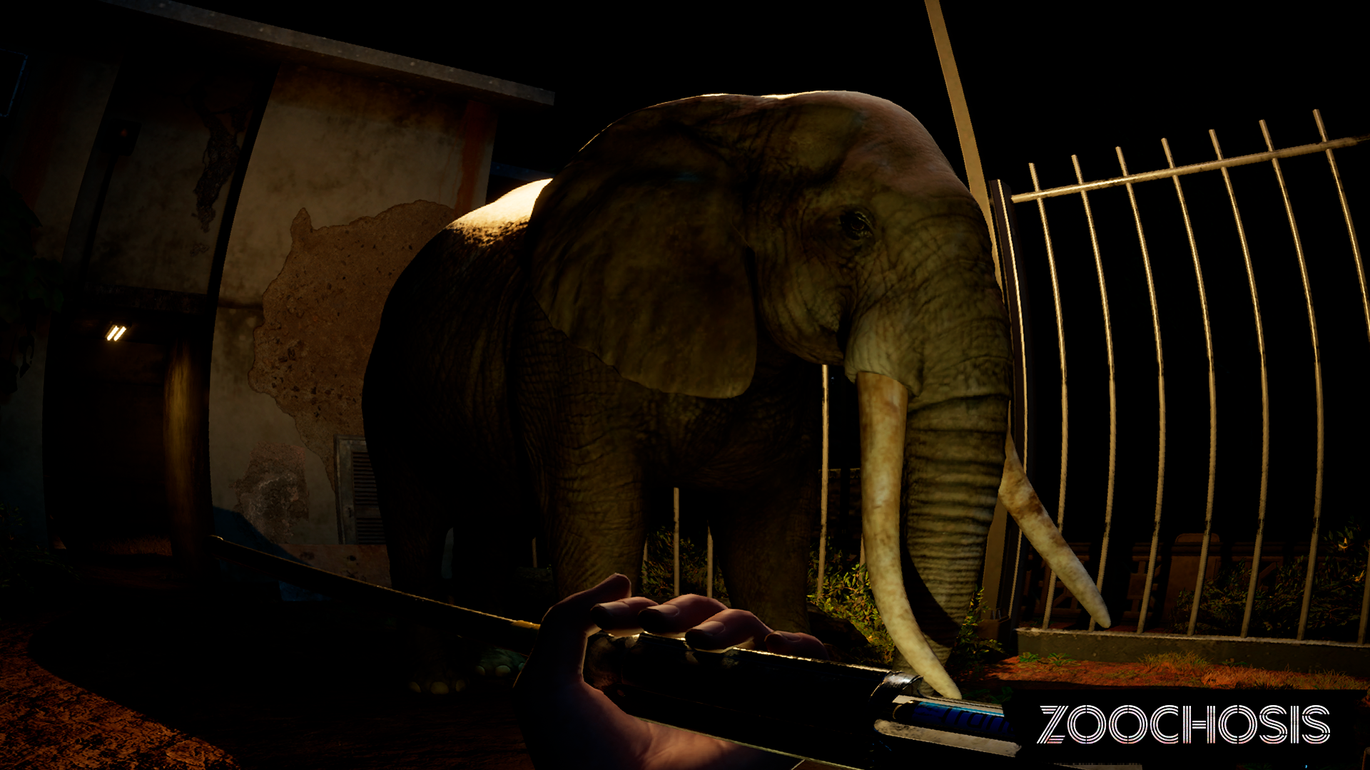 Zoochosis