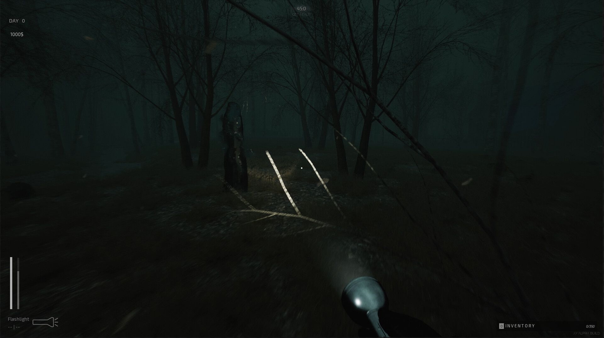 Descending The Woods