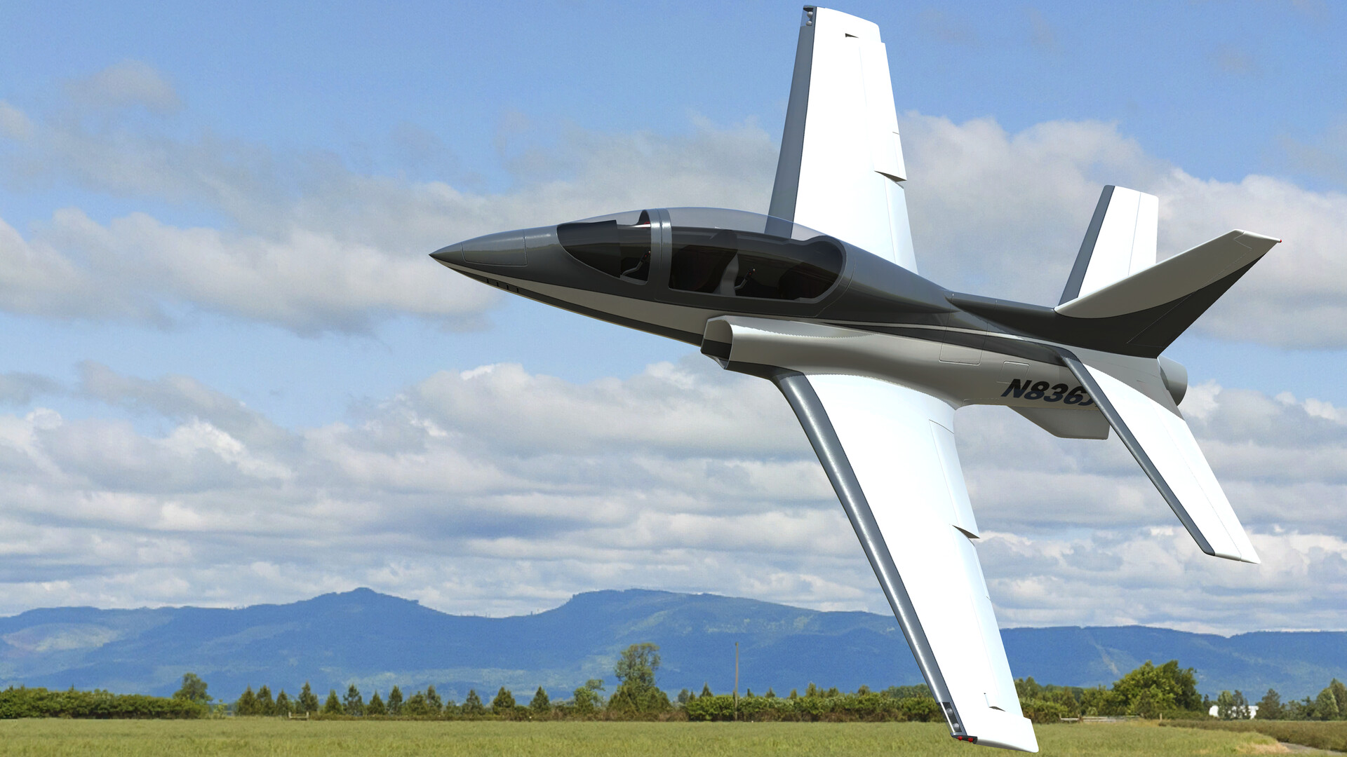 RealFlight Evolution: ViperJet