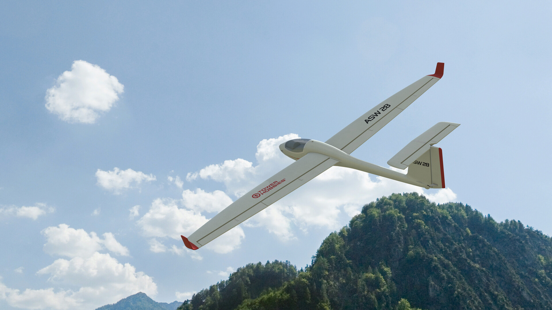 RealFlight Evolution: Tower Hobbies ASW-28