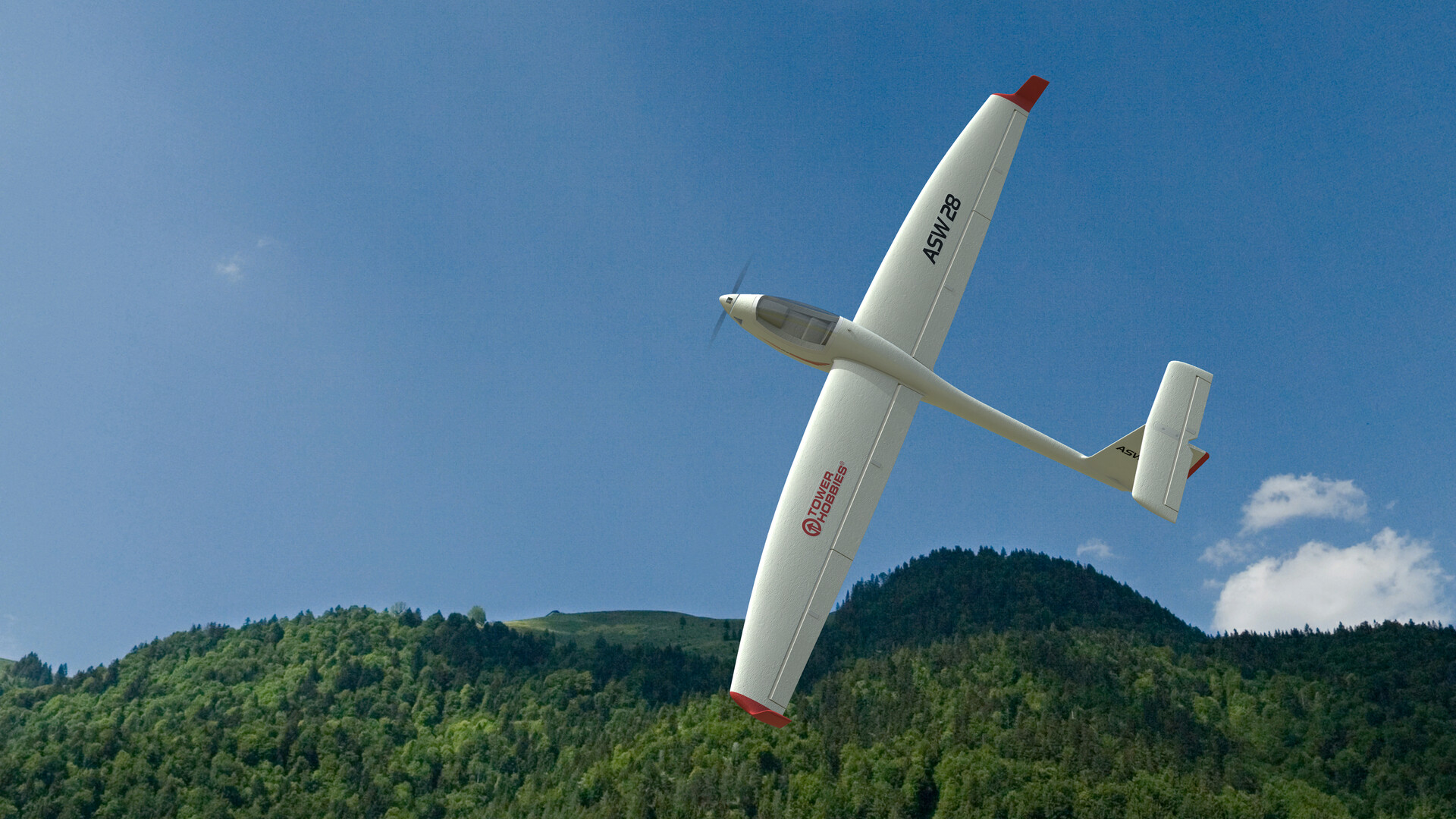 RealFlight Evolution: Tower Hobbies ASW-28