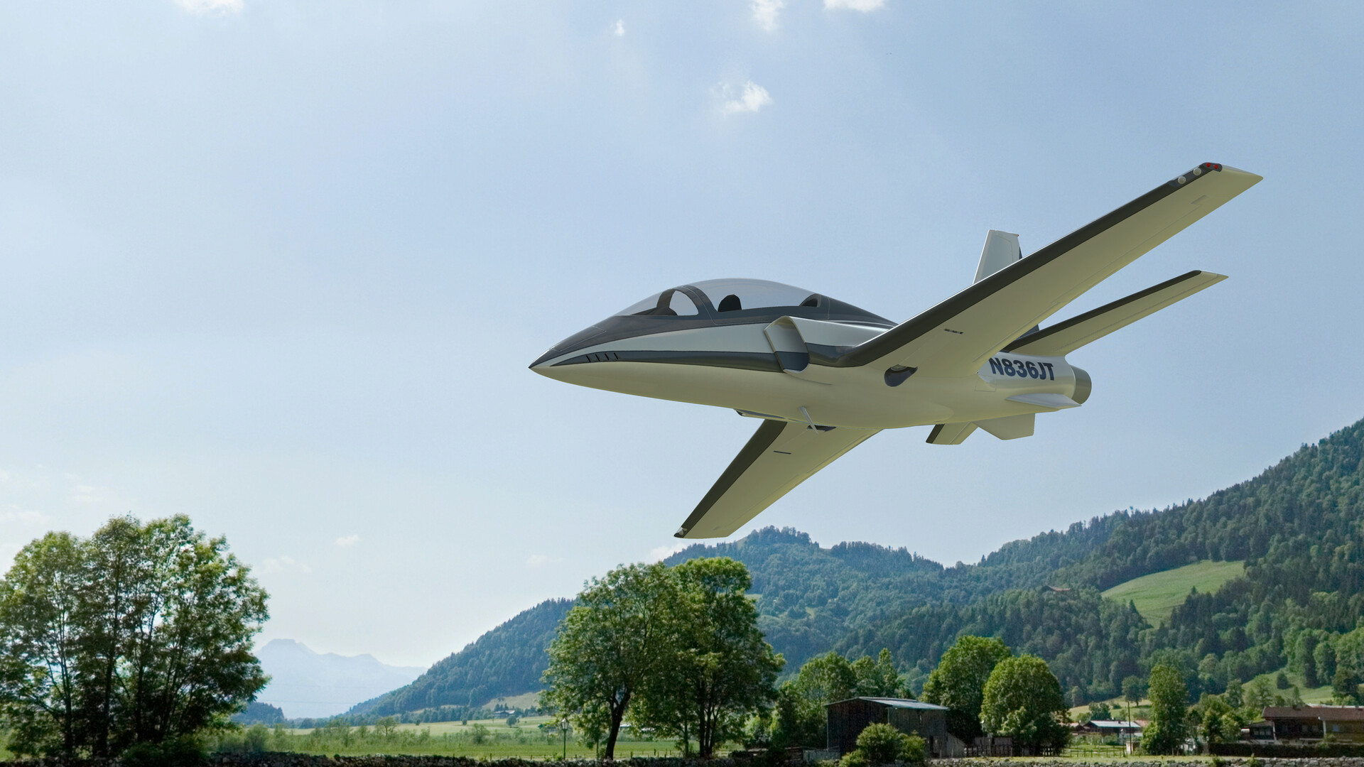 RealFlight Evolution: ViperJet