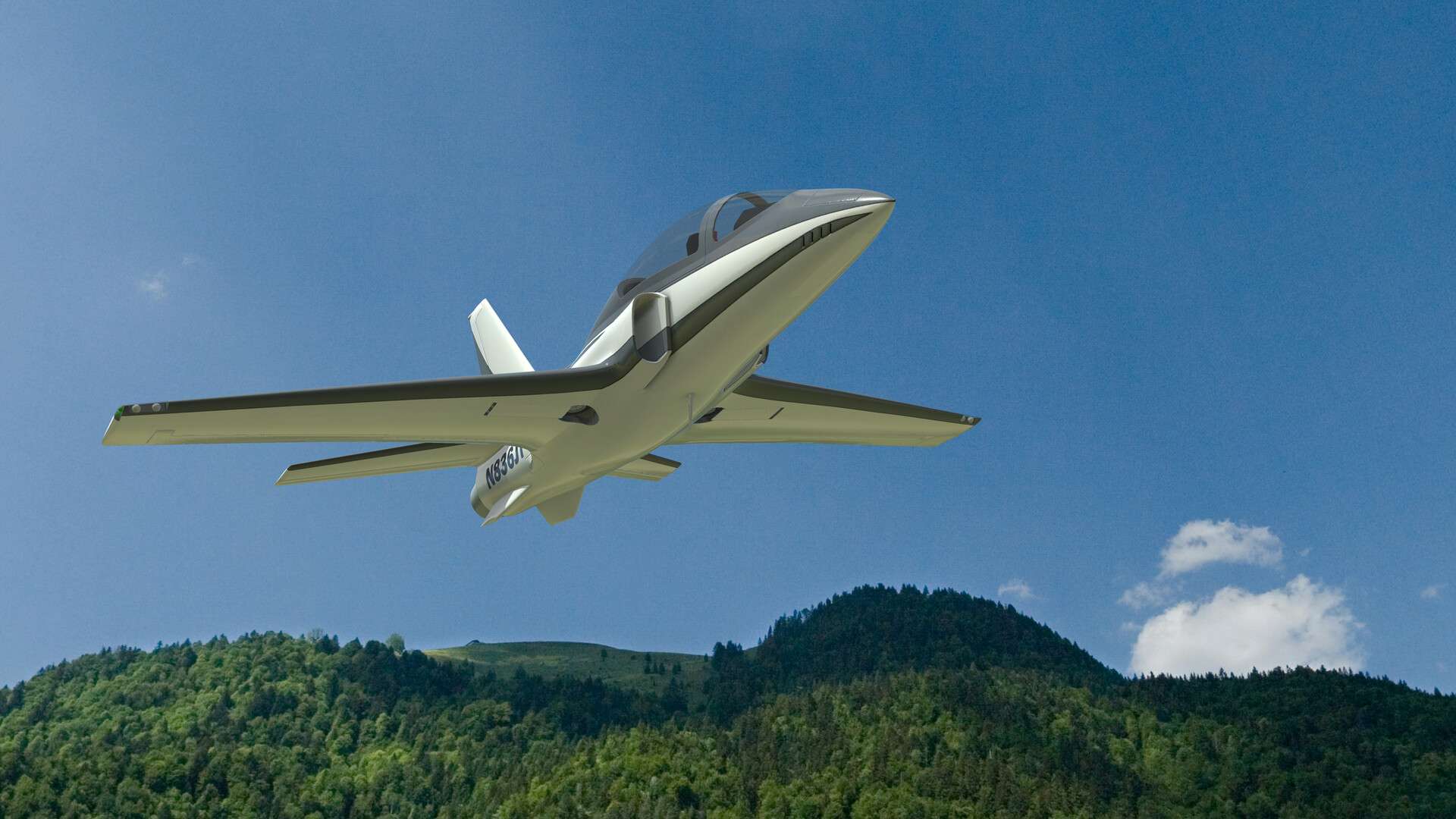 RealFlight Evolution: ViperJet