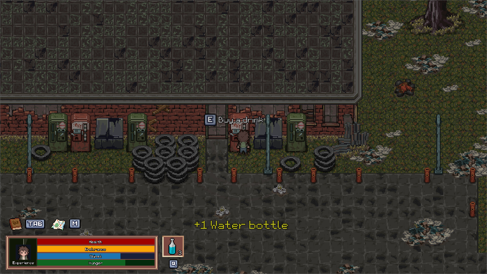 Survival Story