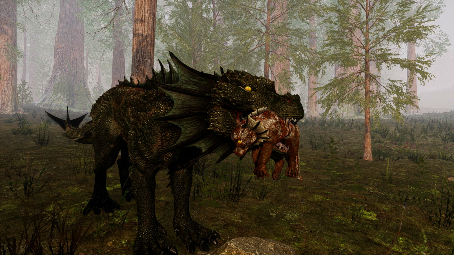 Dragons Legacy