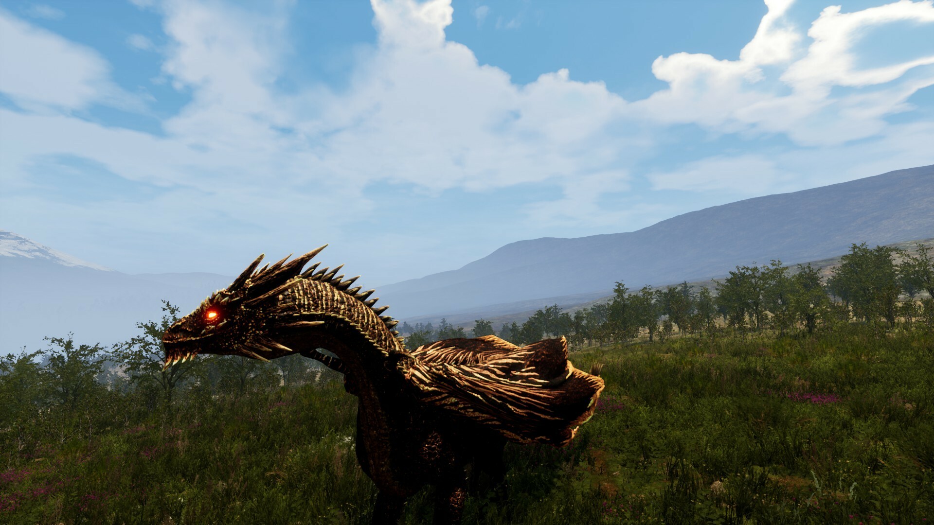 Dragons Legacy