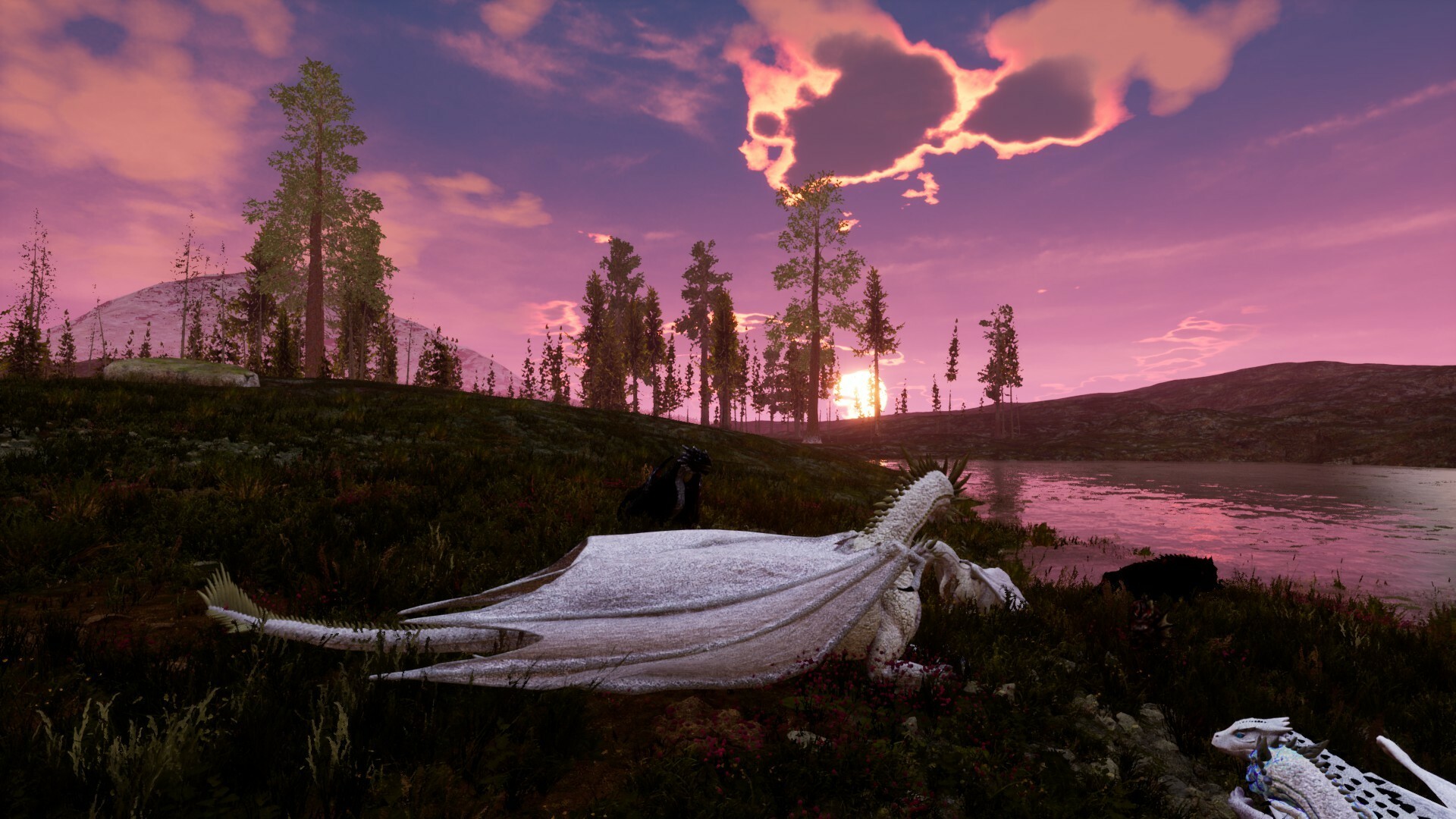 Dragons Legacy