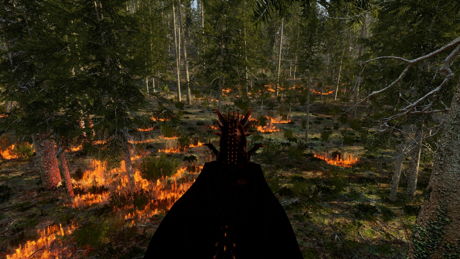 Dragons Legacy