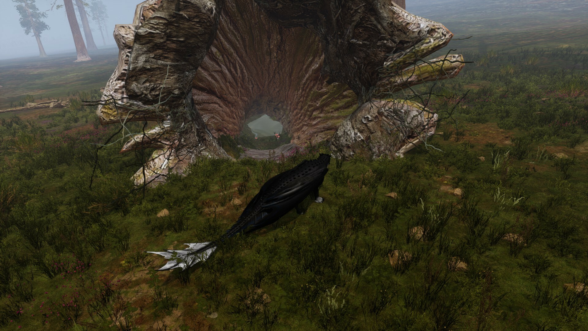 Dragons Legacy