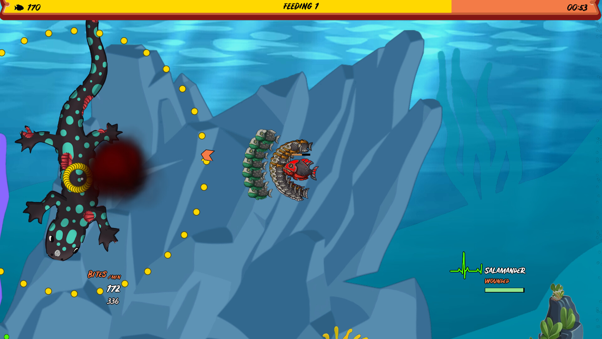 Piranha Feeding