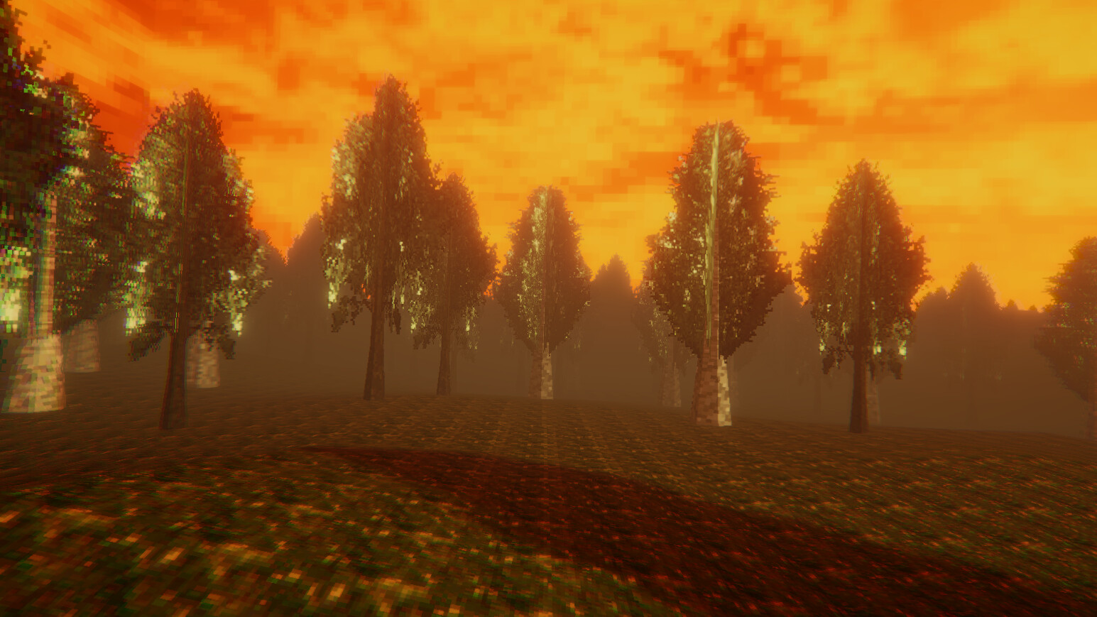 Don’t Look at Him