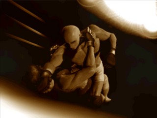 Pro Wrestling Sengokuden 2