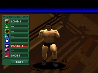 Pro Wrestling Sengokuden 2