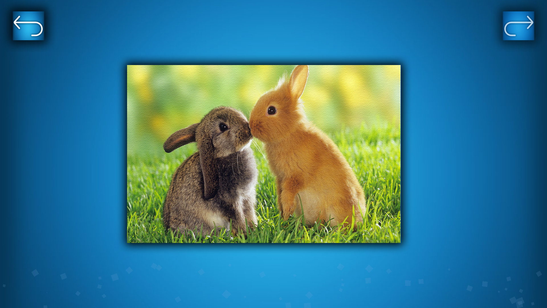 Puzzle: Animals