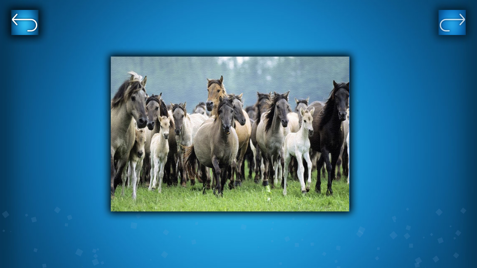 Puzzle: Animals