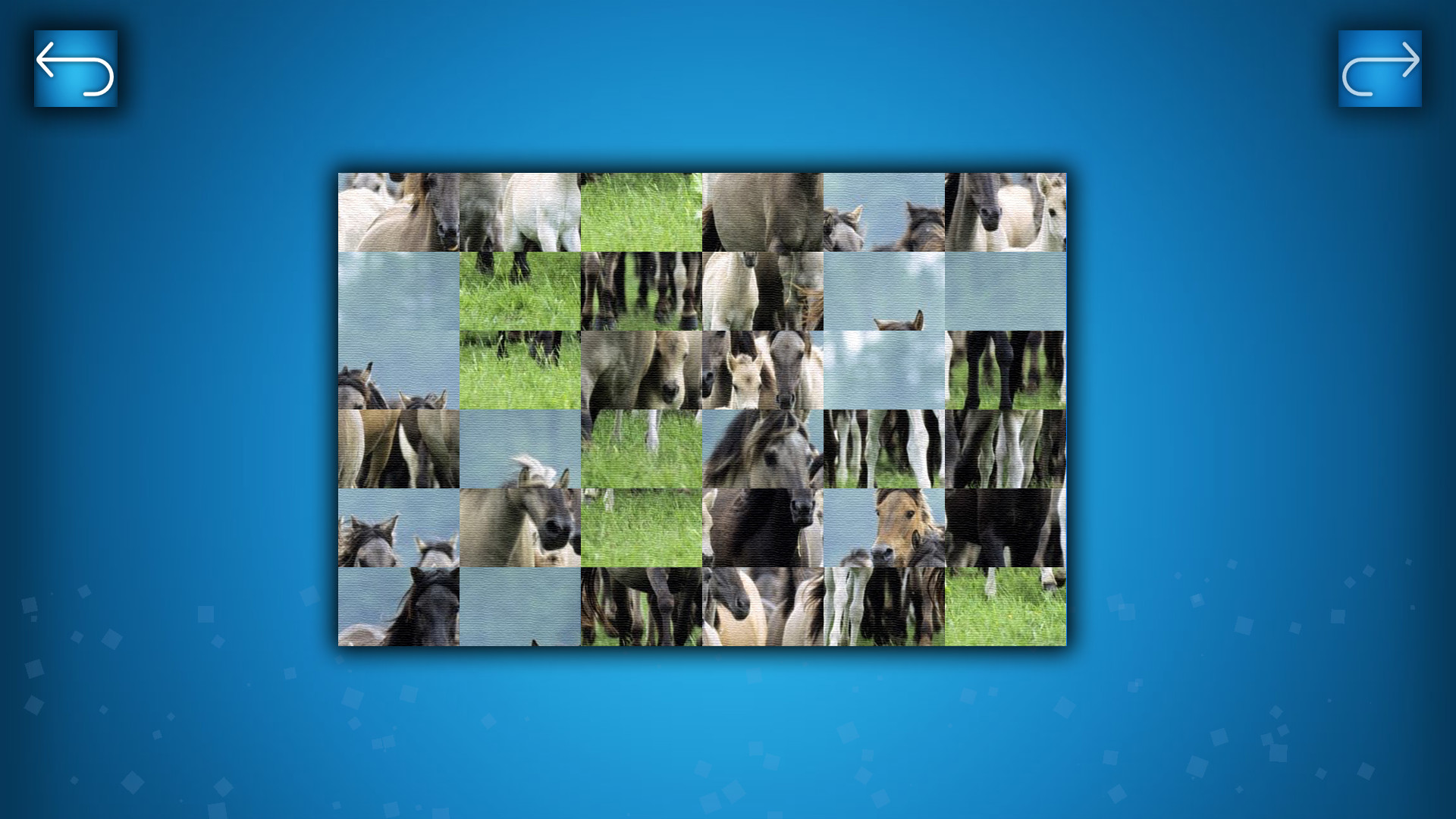 Puzzle: Animals