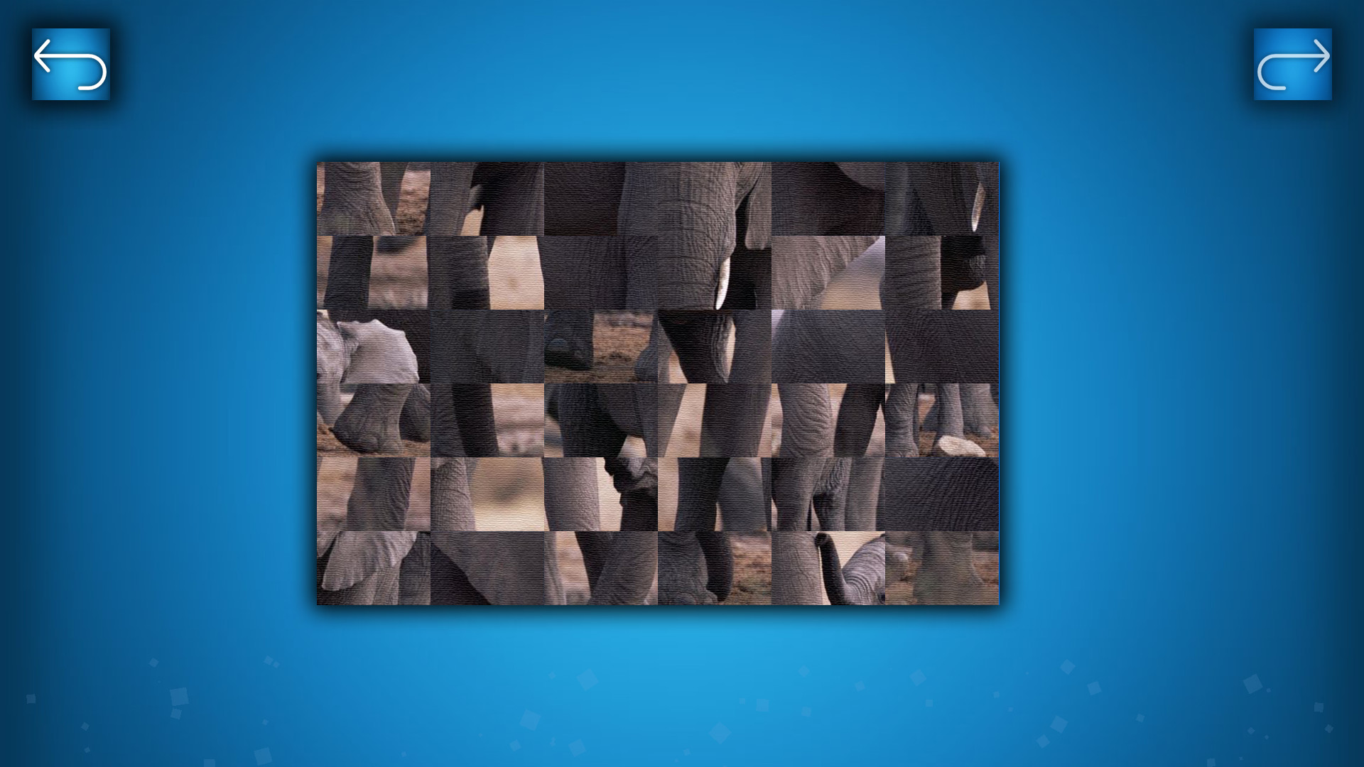 Puzzle: Animals