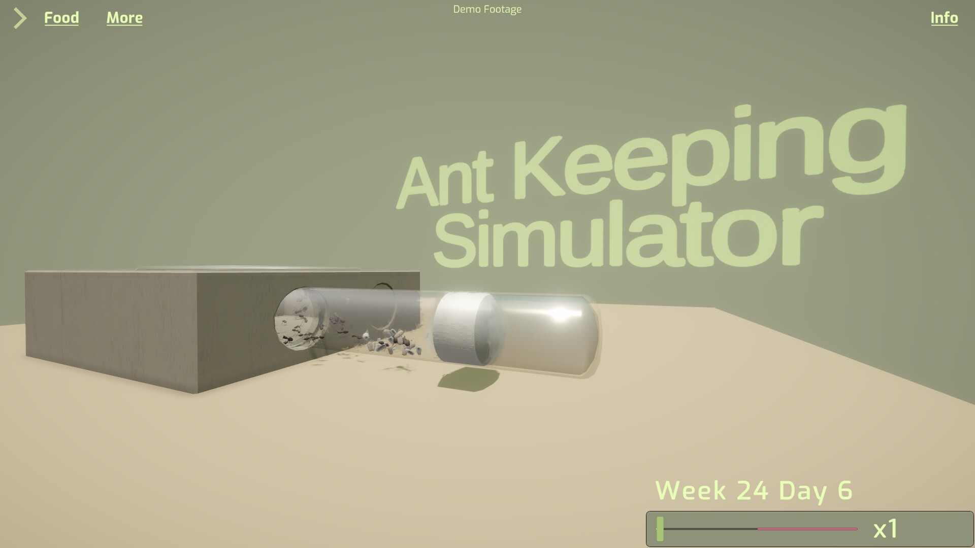 Ant Keeping Simulator