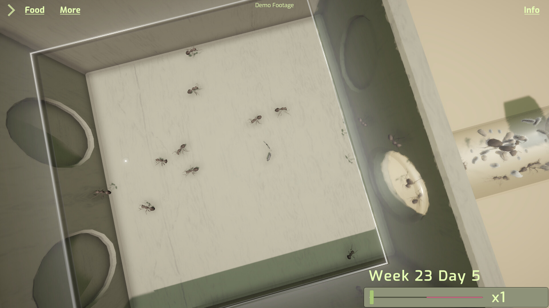 Ant Keeping Simulator