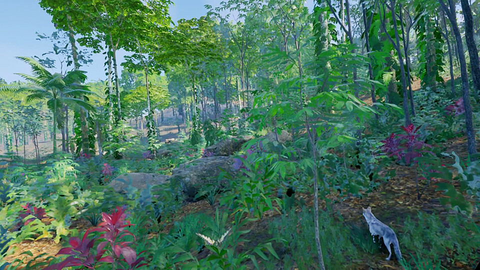 Insect Flight Simulator VR