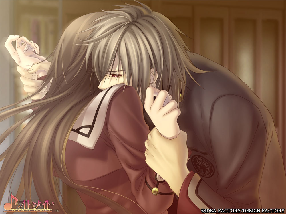 Hiiro no Kakera Tamayori-hime Kitan: Omoi Iro no Kioku for Nintendo Switch