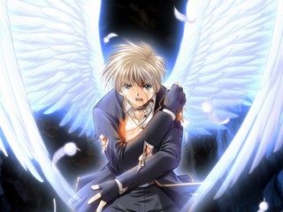 Angel’s Feather