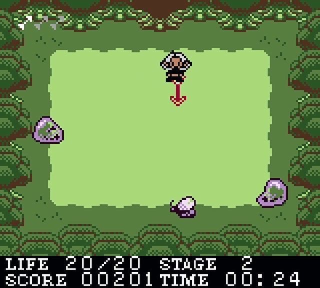 Hunter in the Lost Forest