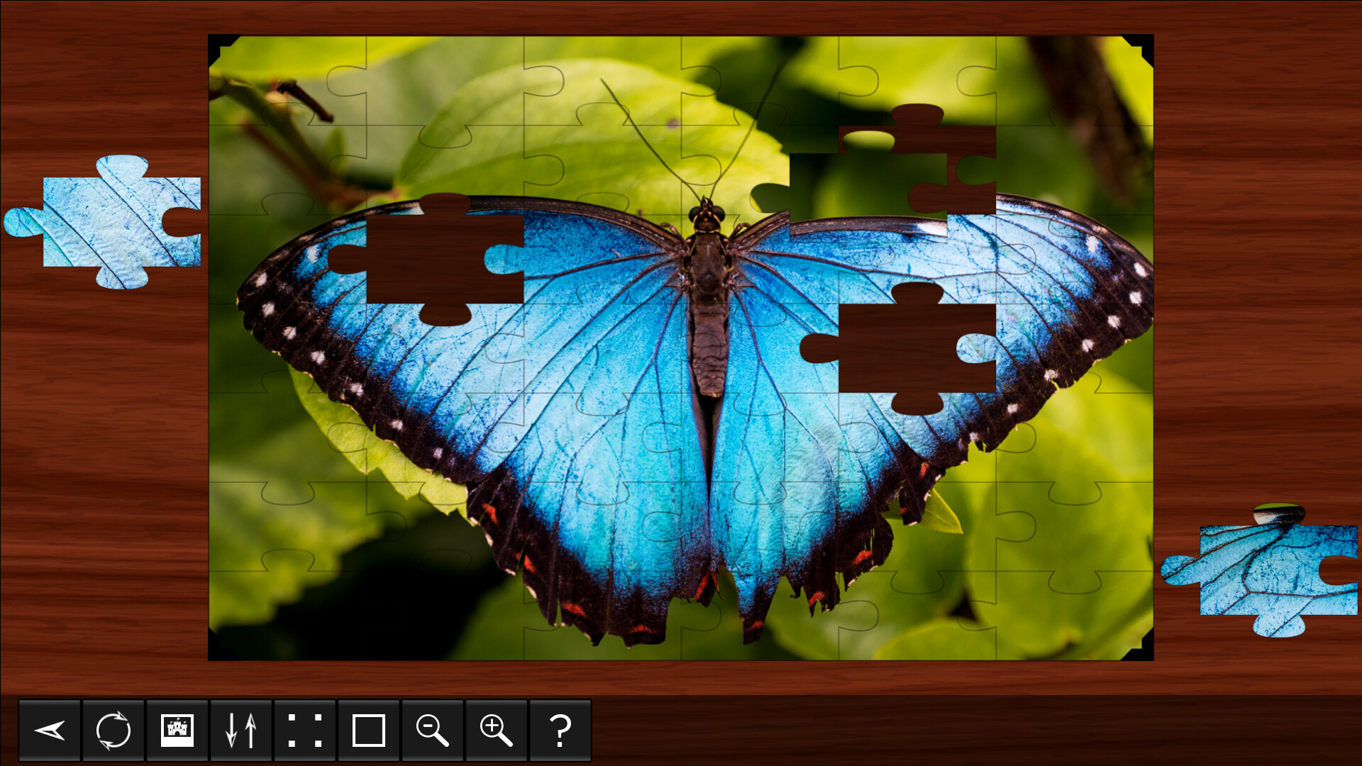 Jigsaw Puzzle World: Insects