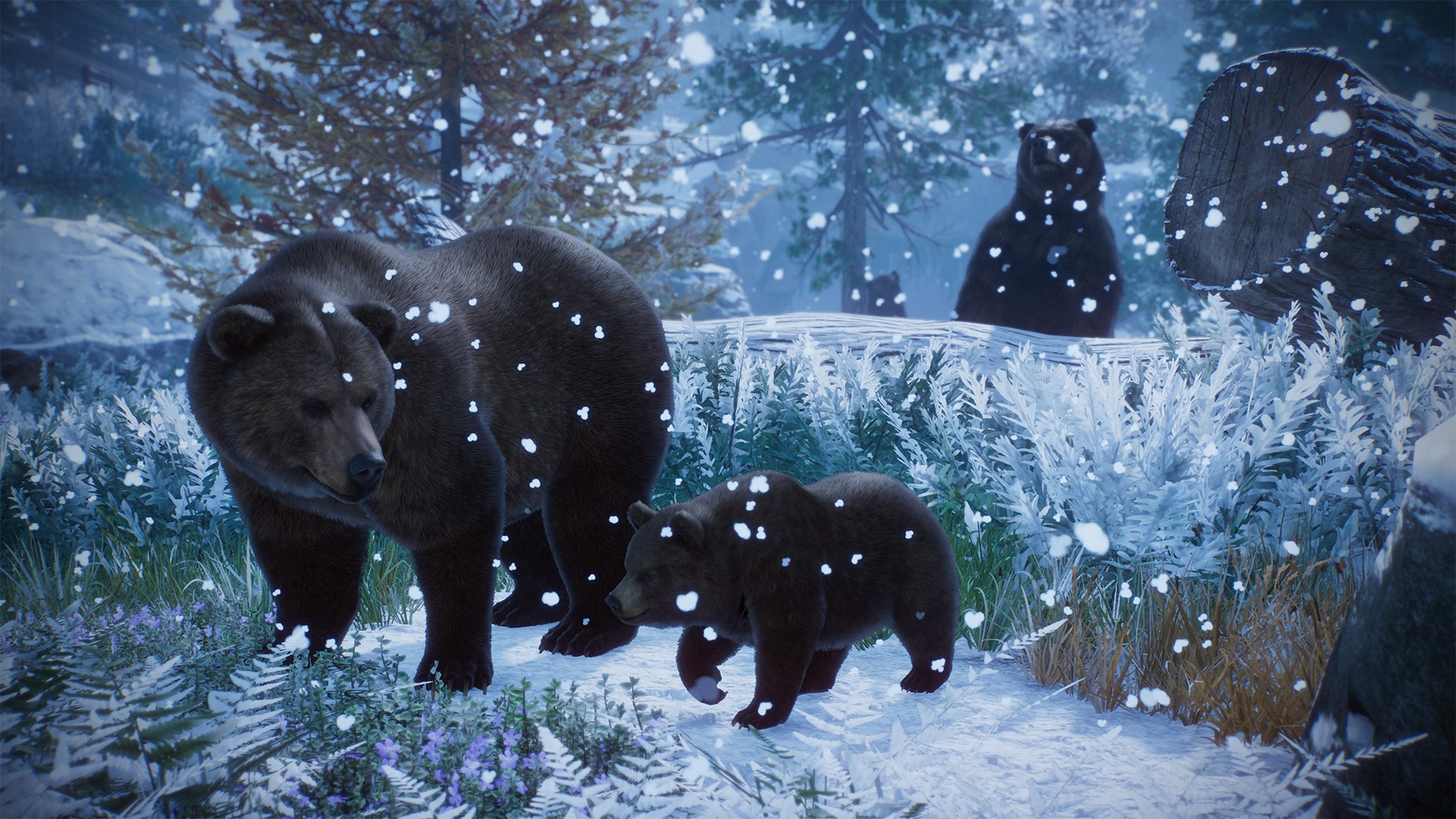 Planet Zoo: Console Edition – Ultimate Edition