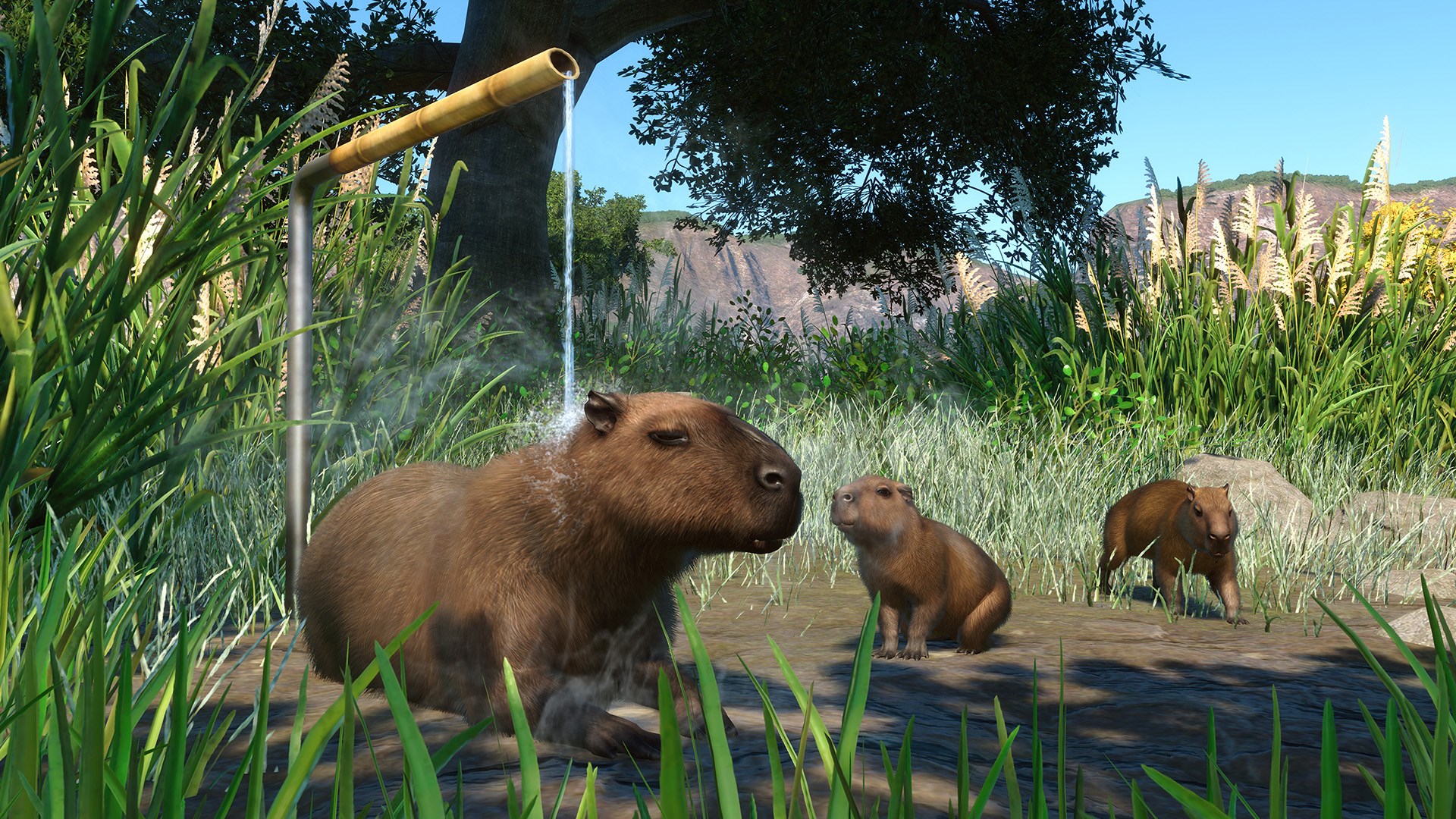 Planet Zoo: Console Edition – Ultimate Edition