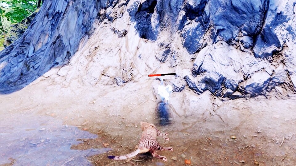 Forest Showdown: Cat Hero Battle