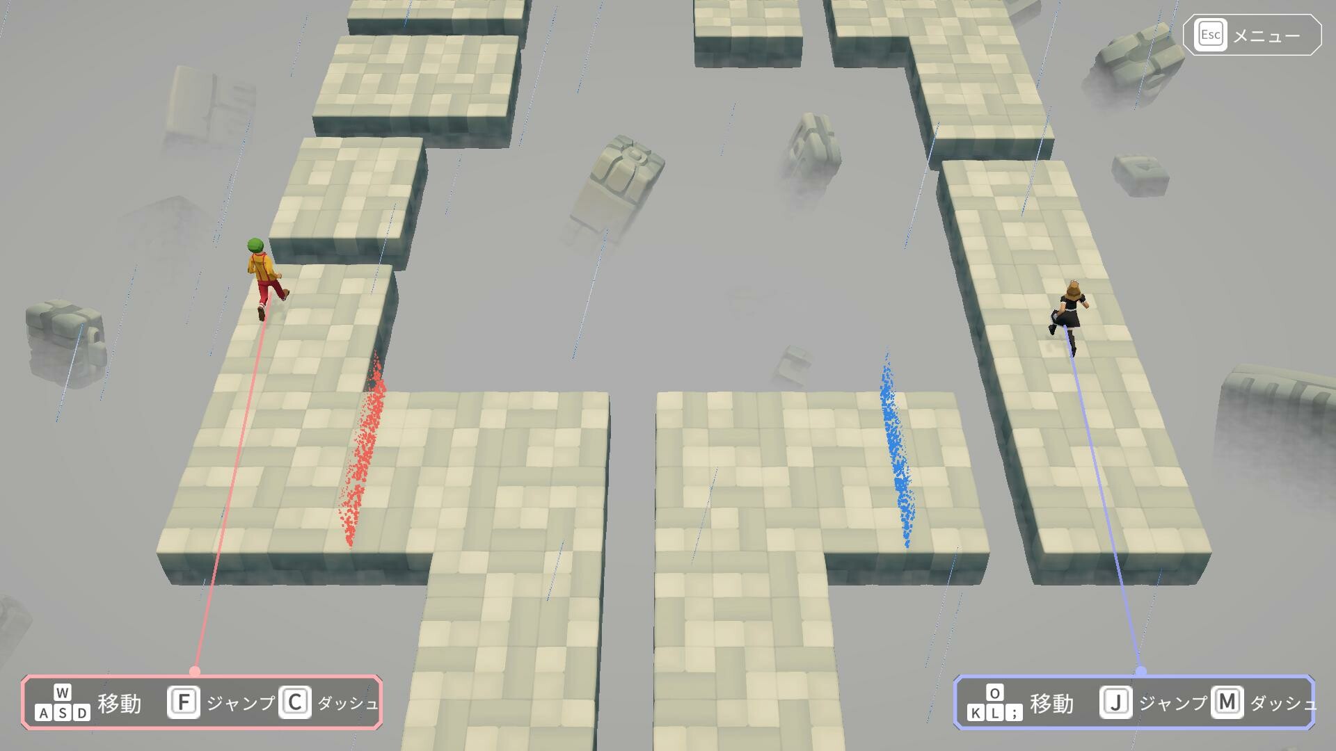 Hypotheses on the Symmetry between Vision and Hands