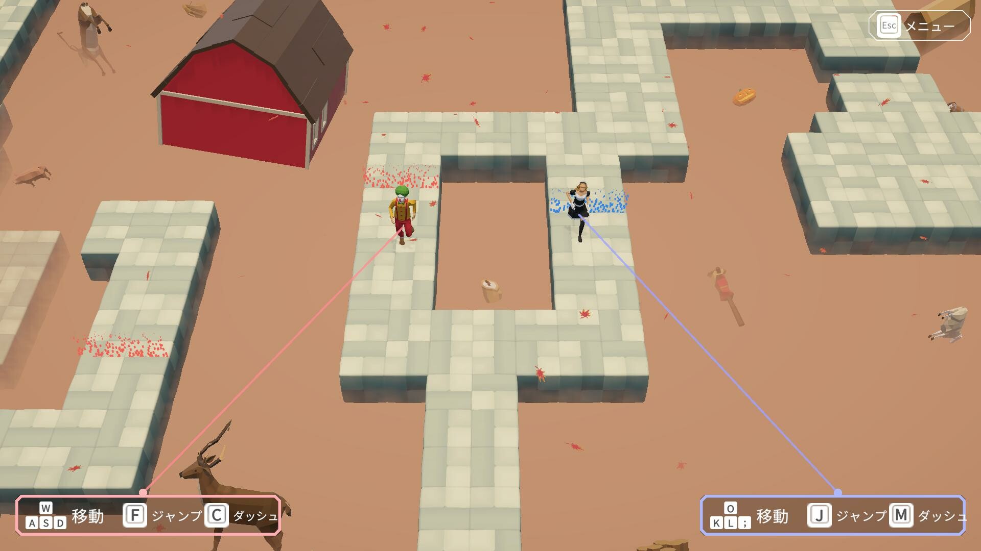 Hypotheses on the Symmetry between Vision and Hands