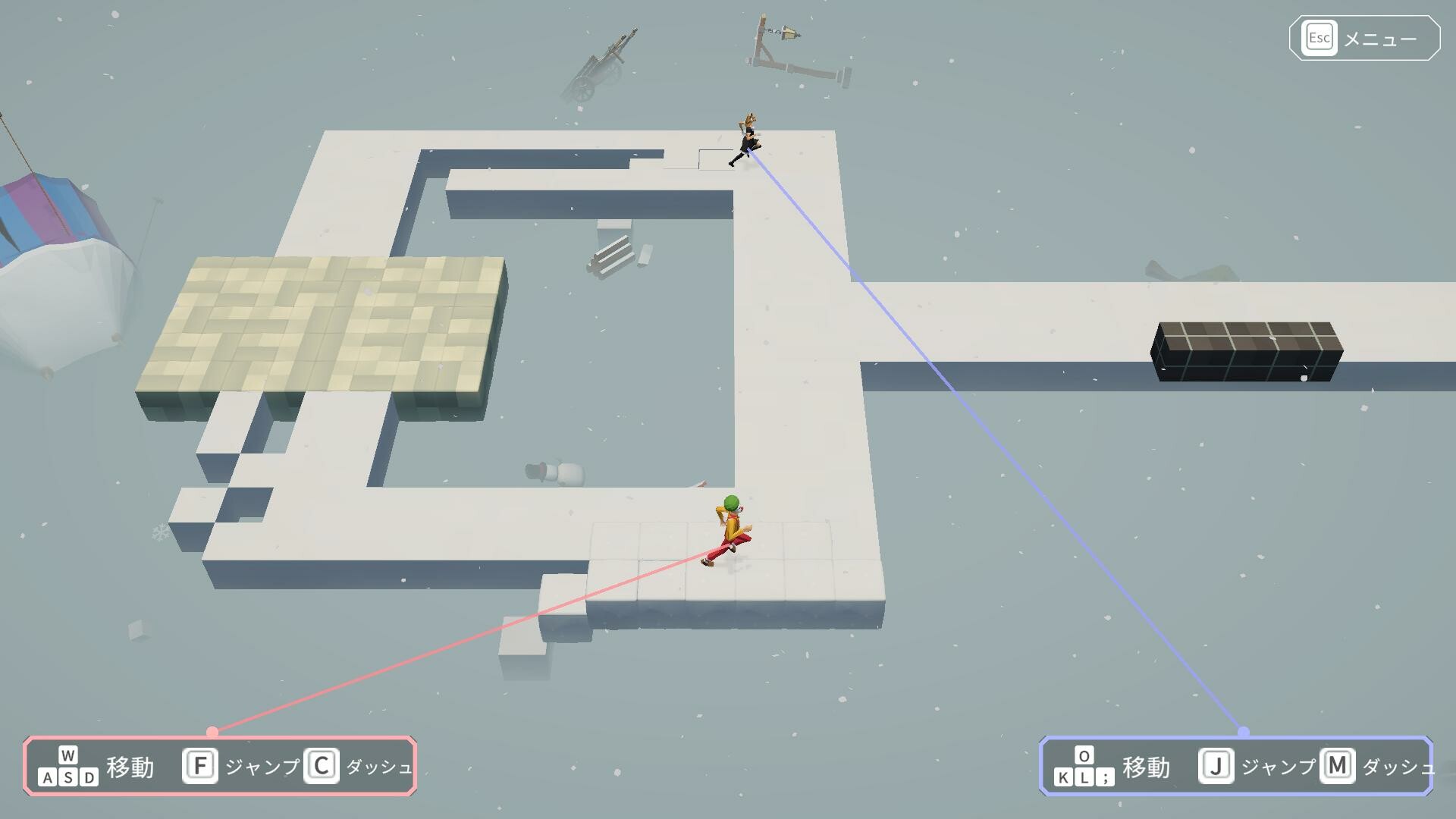 Hypotheses on the Symmetry between Vision and Hands