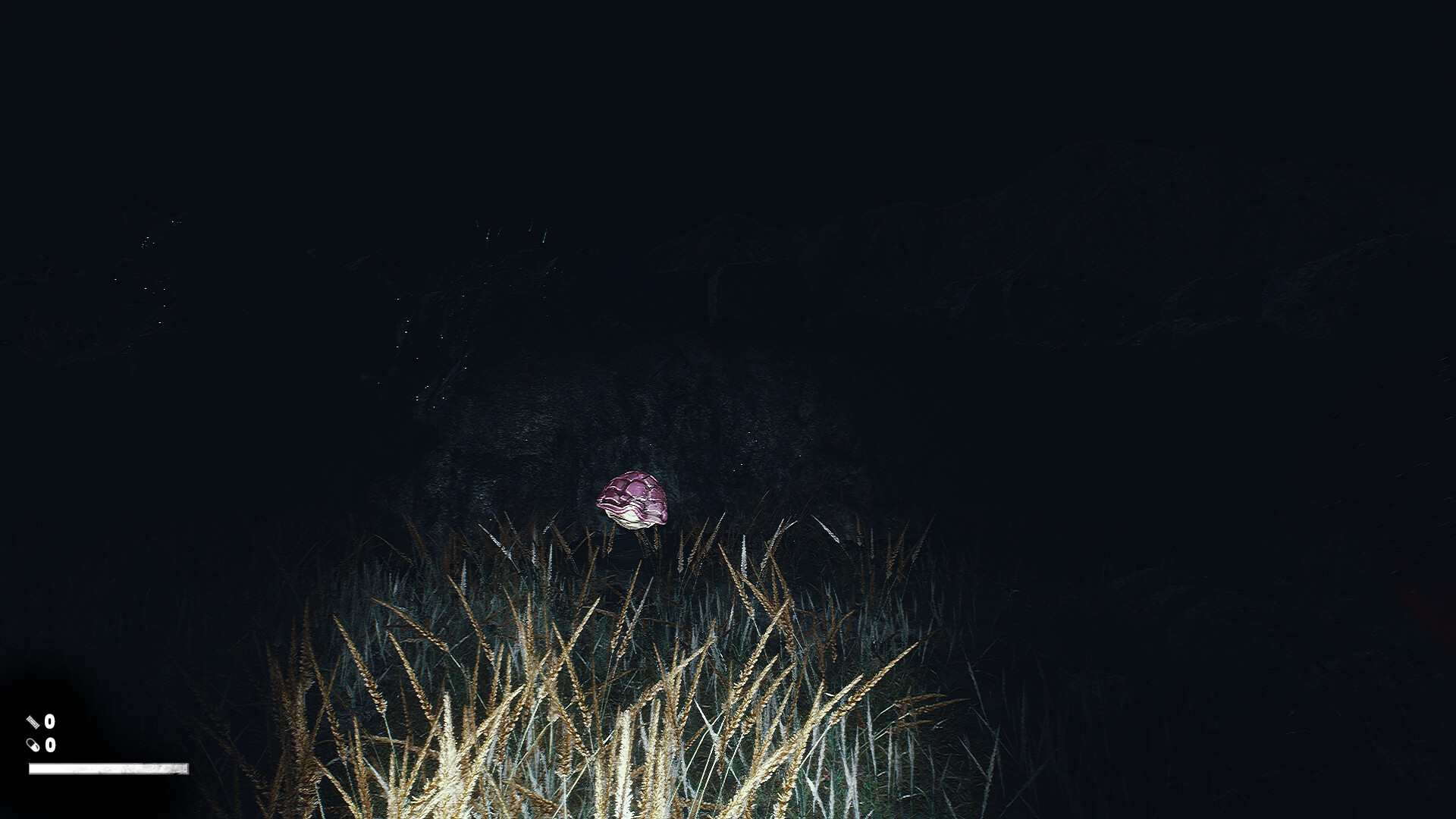 Dead Shells