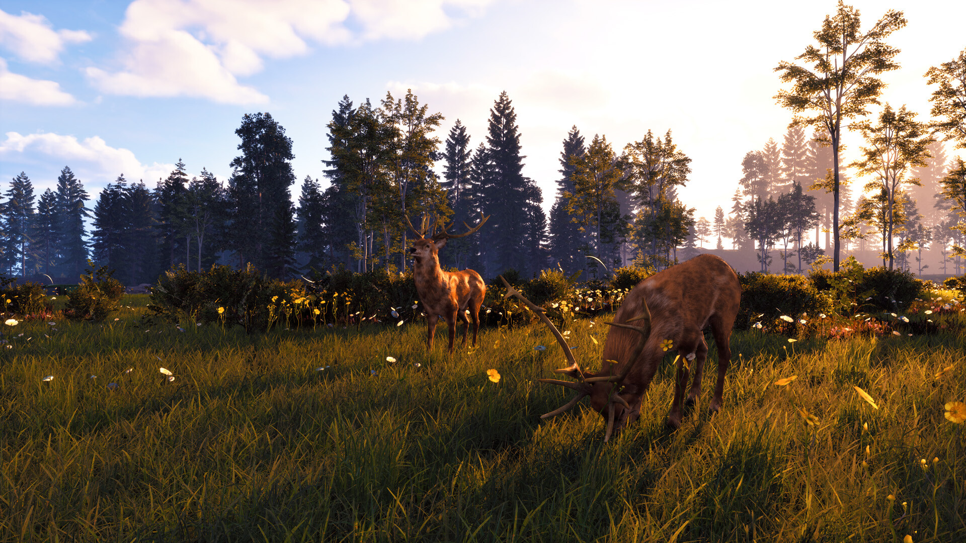 Windstorm: Start of a Great Friendship – Remastered