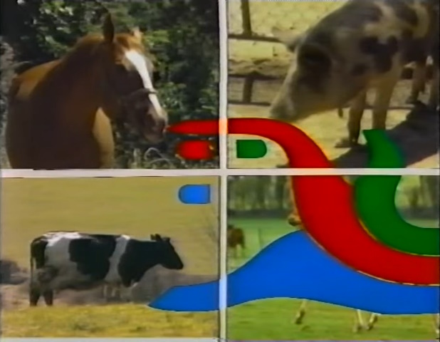 The World of Animals