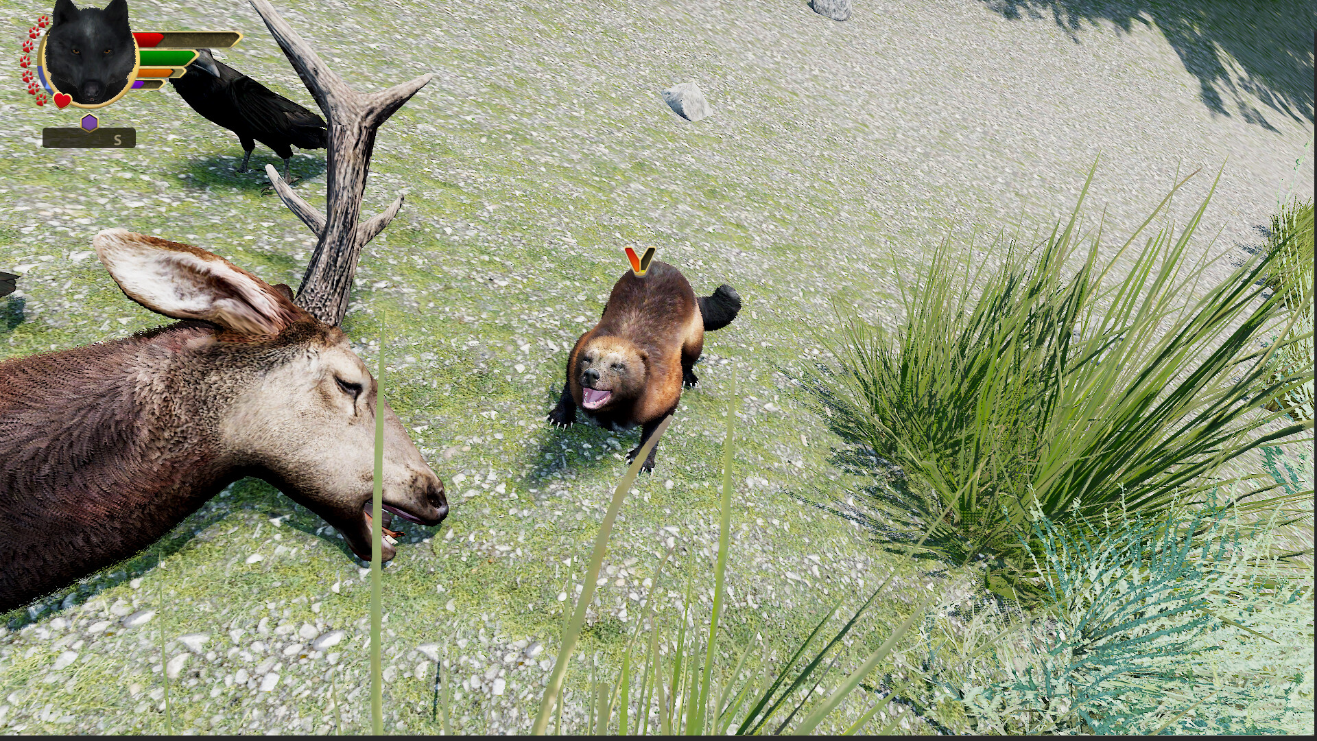 WolfQuest: Anniversary Edition – Hellroaring Mountain