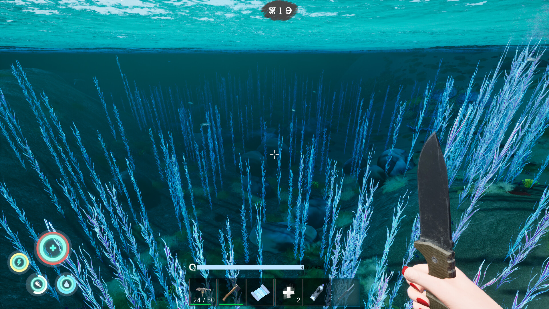 Shallow Sea Roaming