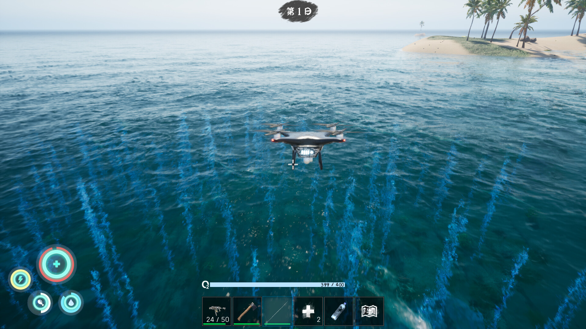 Shallow Sea Roaming