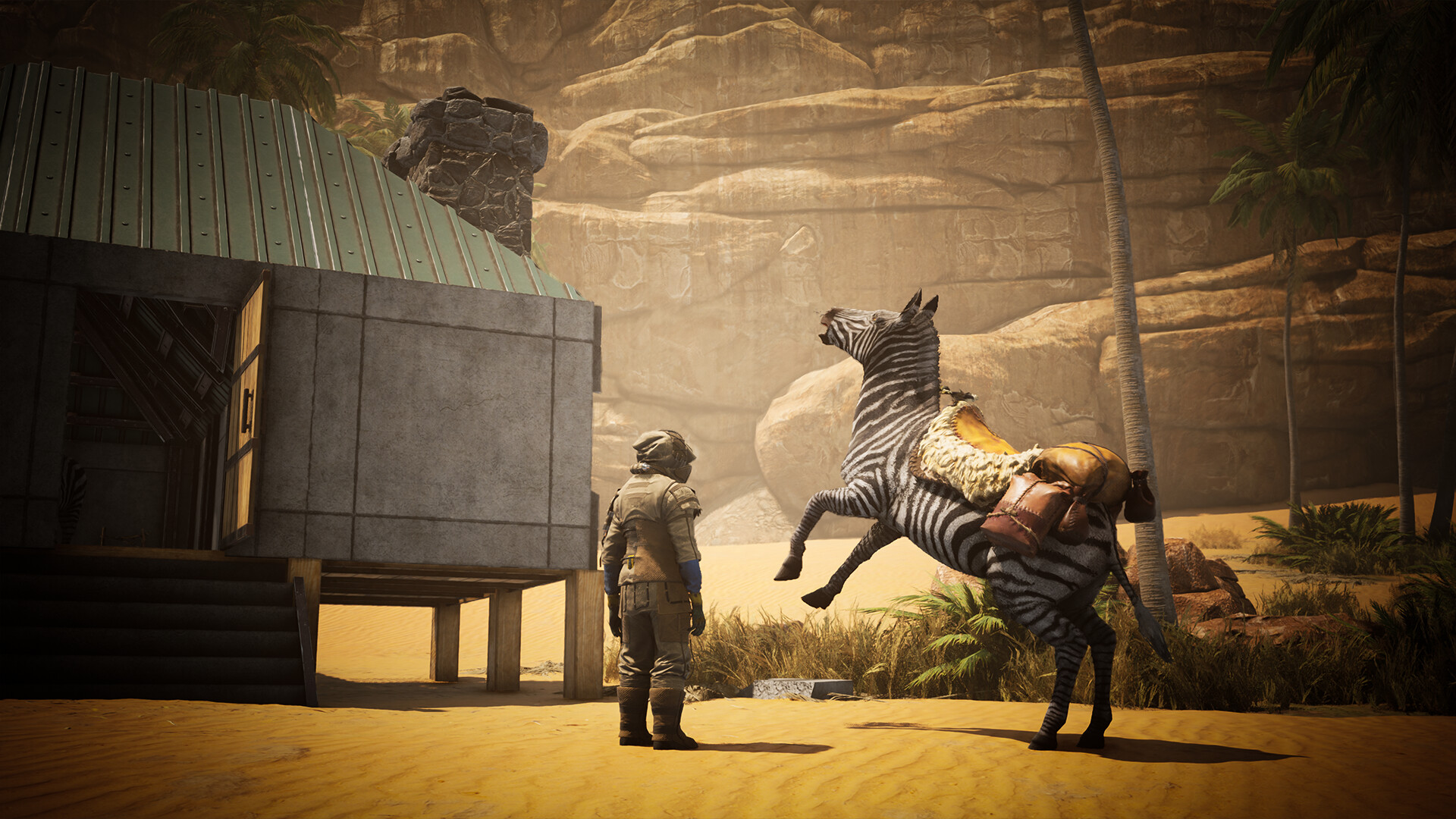 Icarus: Zebra Rescue Mission