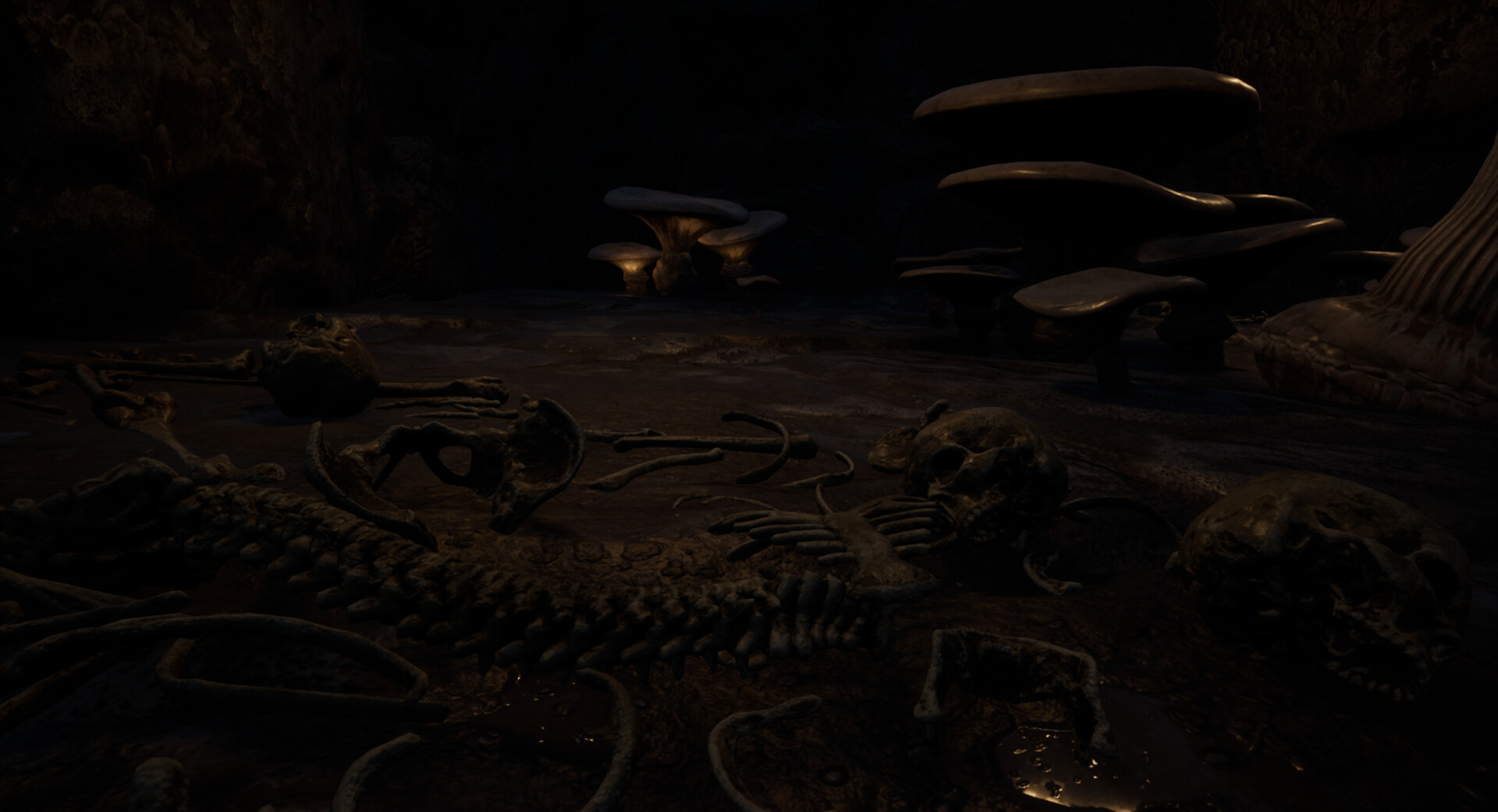 Forest of Fear