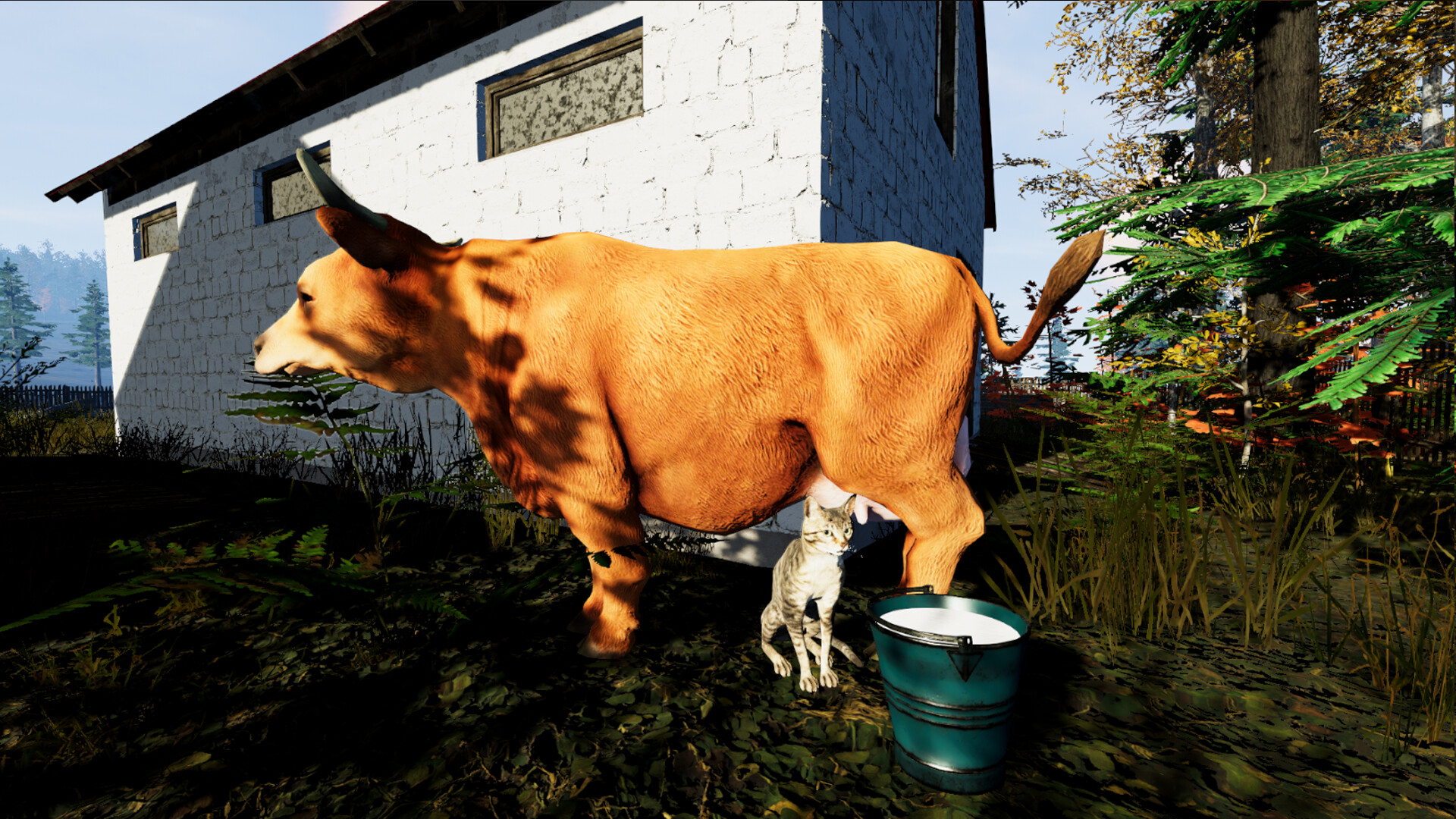Farmer’s Life: Pimp my Cottage