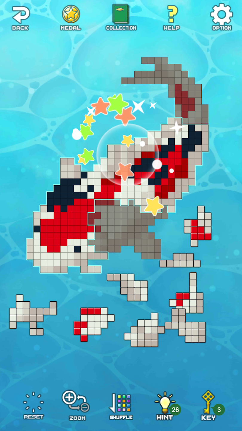 Dot Piece Puzzle: Dotpicture